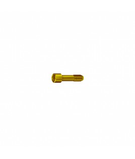NP Retaining Screw for Angled TMA