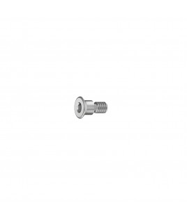 RS Implant Cover Screw
