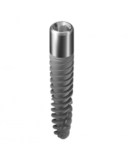 Touareg™-OS Dental Implant 4.25D 22,5L