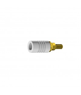 RS Engaging Gold / Plastic Abutment